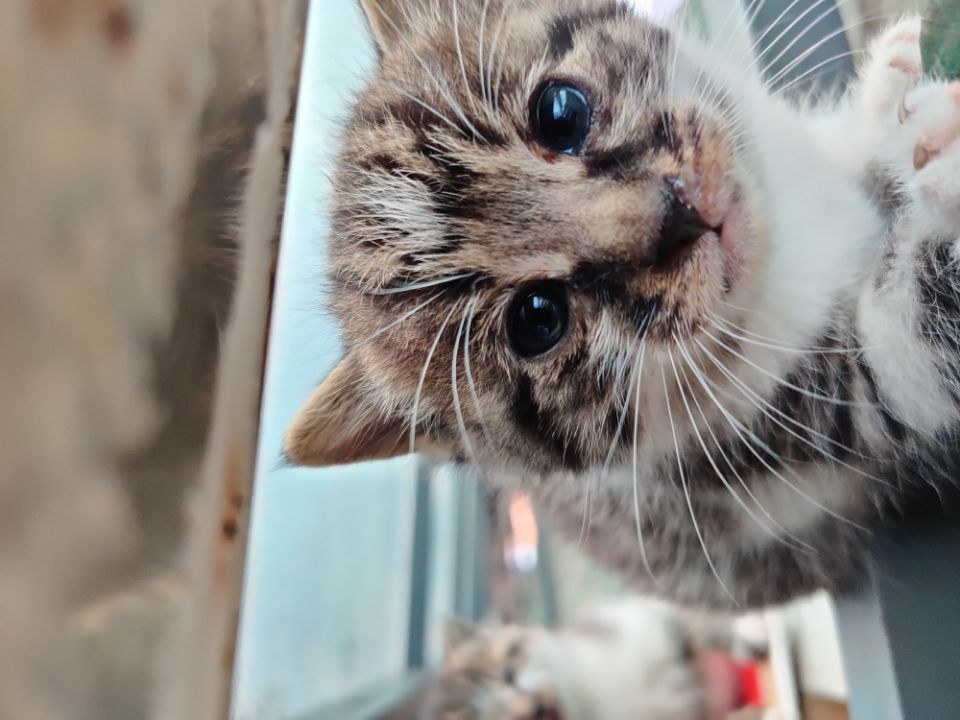 1601009021477427.jpg