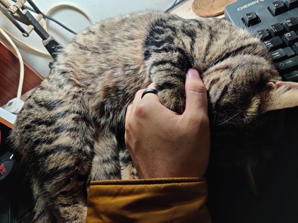 1601015003392524.jpg