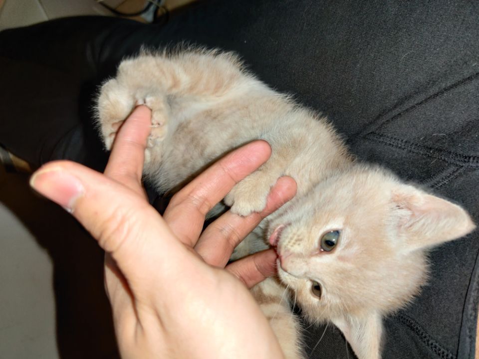 1601015074557978.jpg