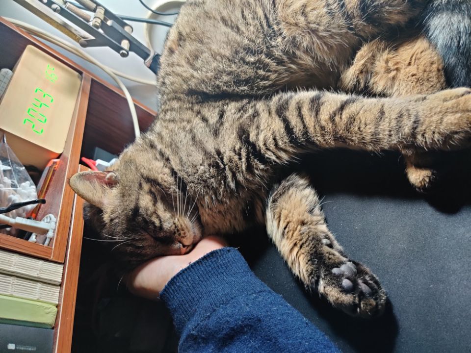 1601015265329597.jpg
