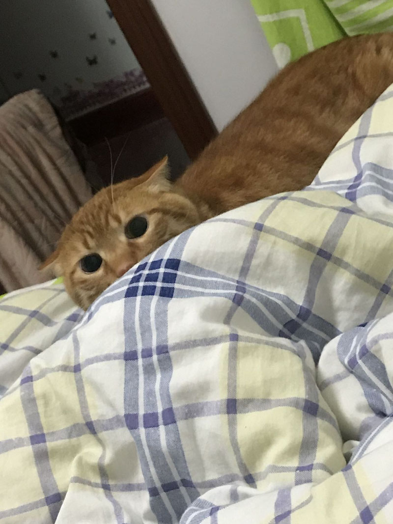 1601016795654191.jpg
