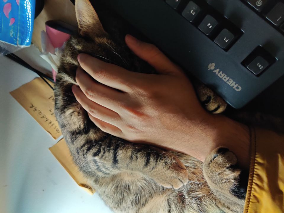 1601014440901829.jpg
