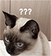 DCWJ6TWDMO0VK43R@T]M`5P.gif