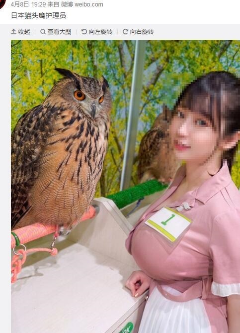 网络放原图不可取 ???? 网络放原图不可取 ????