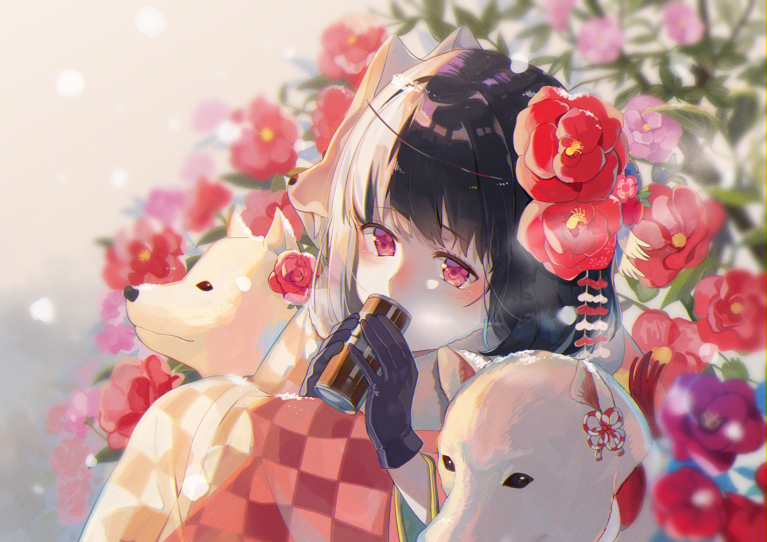 twi?omrice4869