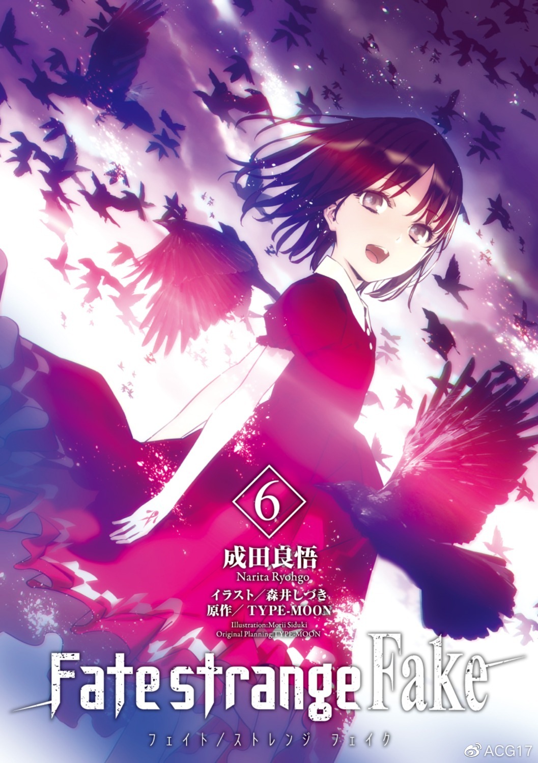 Fate/strange FakeAniplex- ACG17.COM