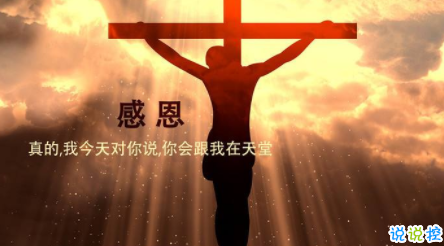 ʥ2019汾v3.0.6