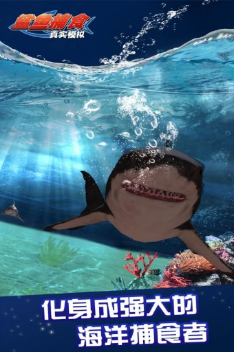 ʵģ㲶ʳ