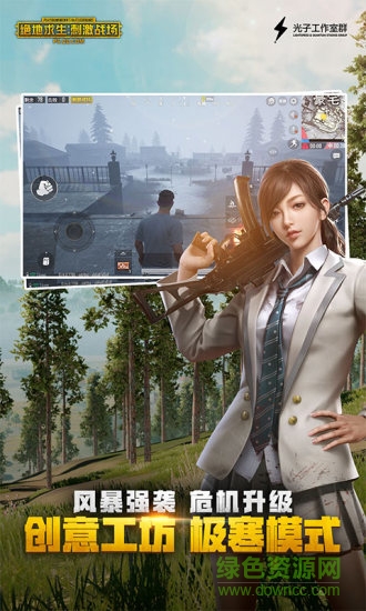 和平精英国服