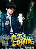化子与伪侦探