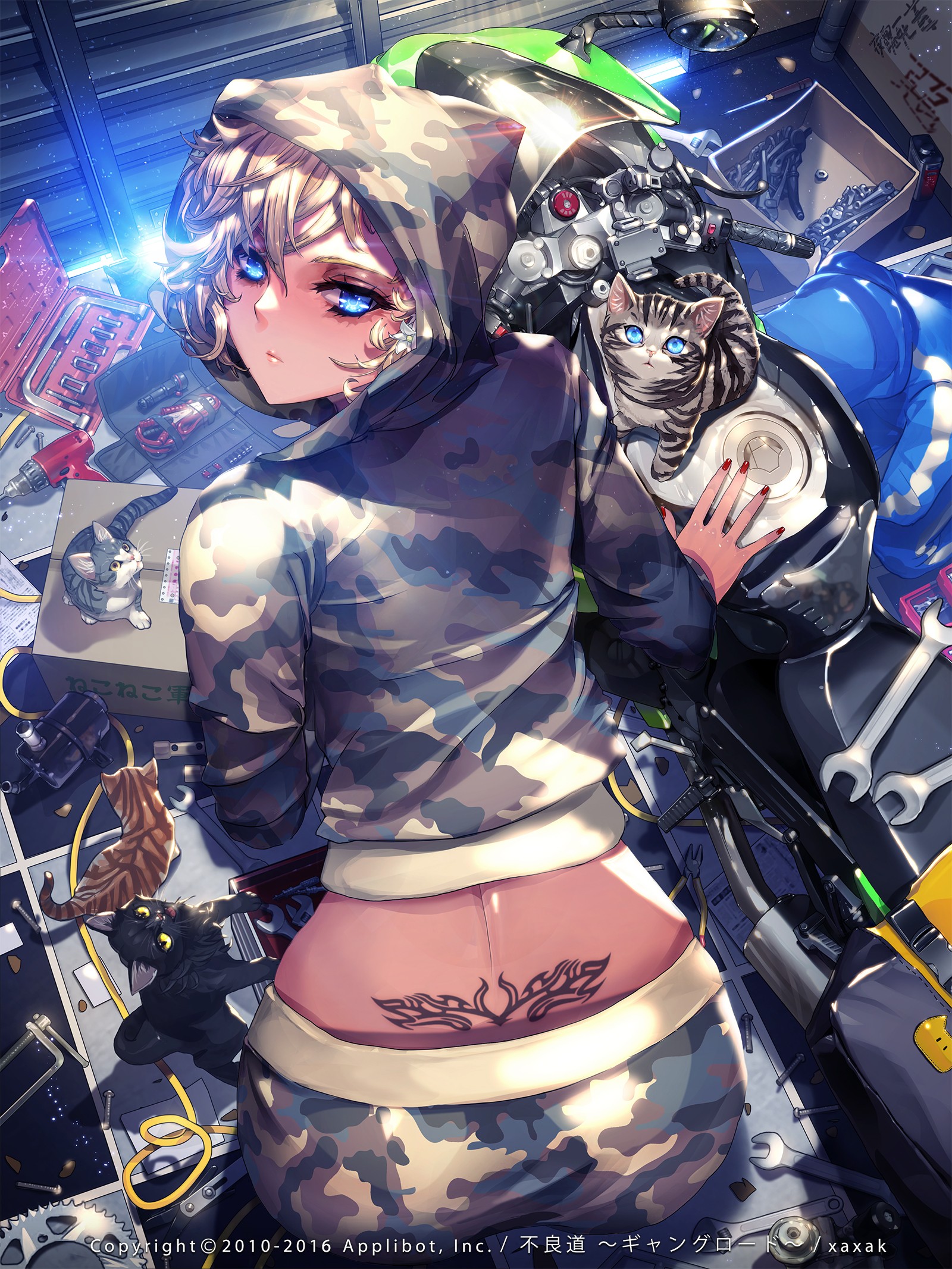 Pվʦxaxak (3302060)