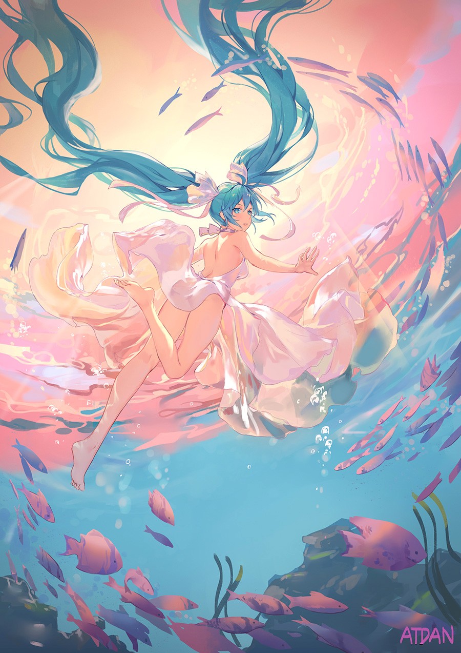 Pվʦʲô֪
