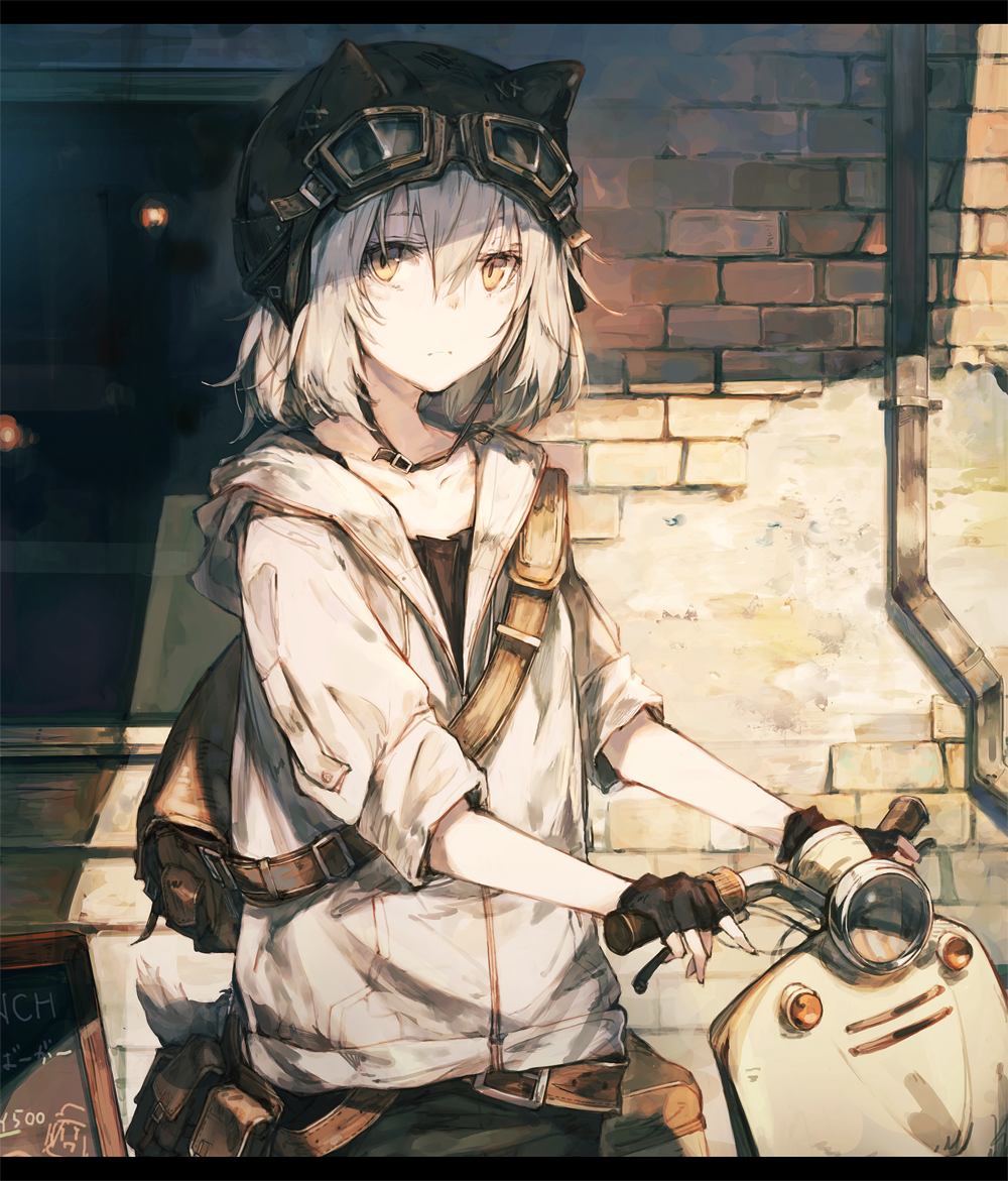 PվʦҰֻ밲ȵ