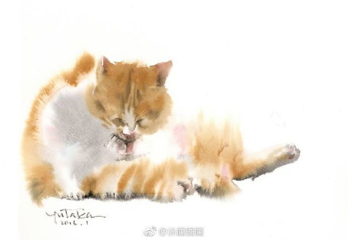Yutaka Murakami ?ˮ ?? ????