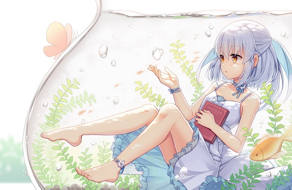 [pixiv]Pվͼ÷ޣҪ֪ʼǸıǡ