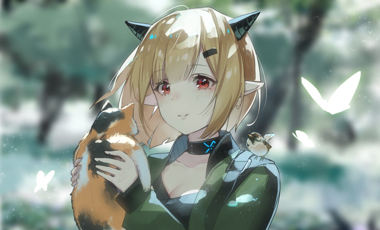 [pixiv]Pվͼν磬ָŵǡ