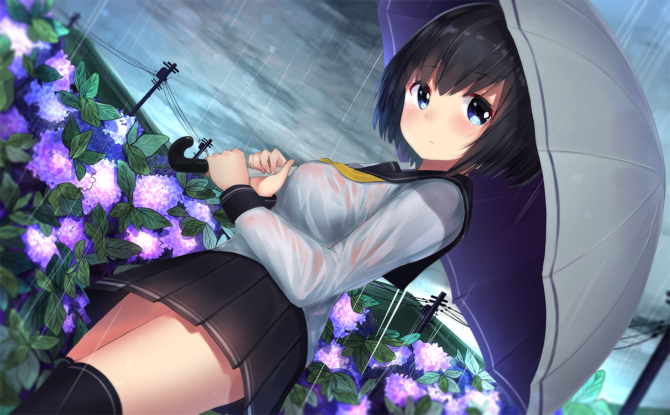 [pixiv]PվͼʱΨһӦŵ˾Լ
