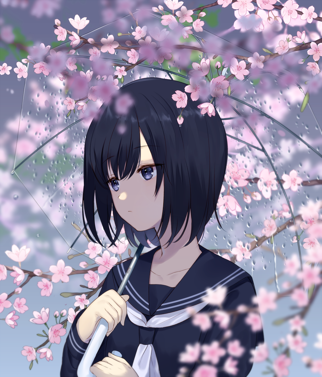 [pixiv]PվͼԼͺ޾һ