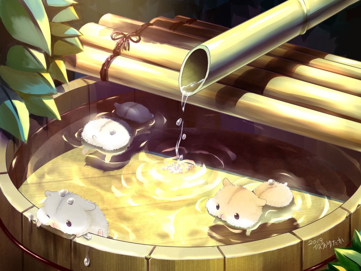 [pixiv]PվͼףЩ·ֻһߡ