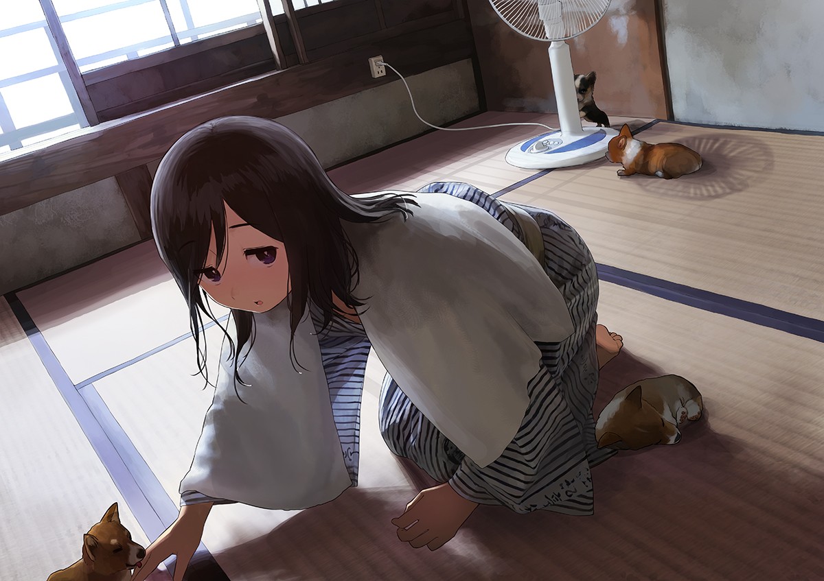 [pixiv]Pվͼ·Ĵ£ʱʱ