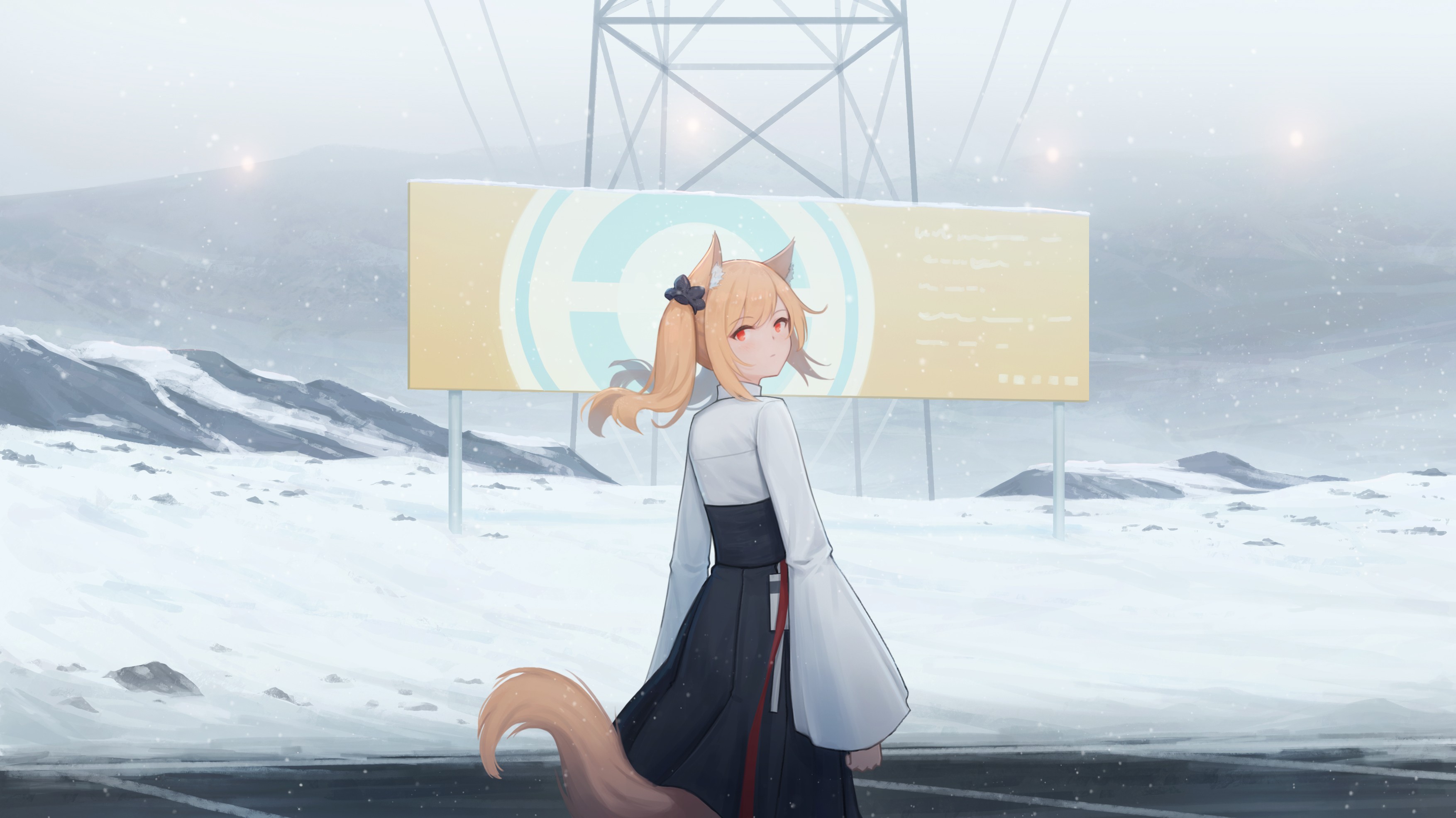76636013_p0.jpg