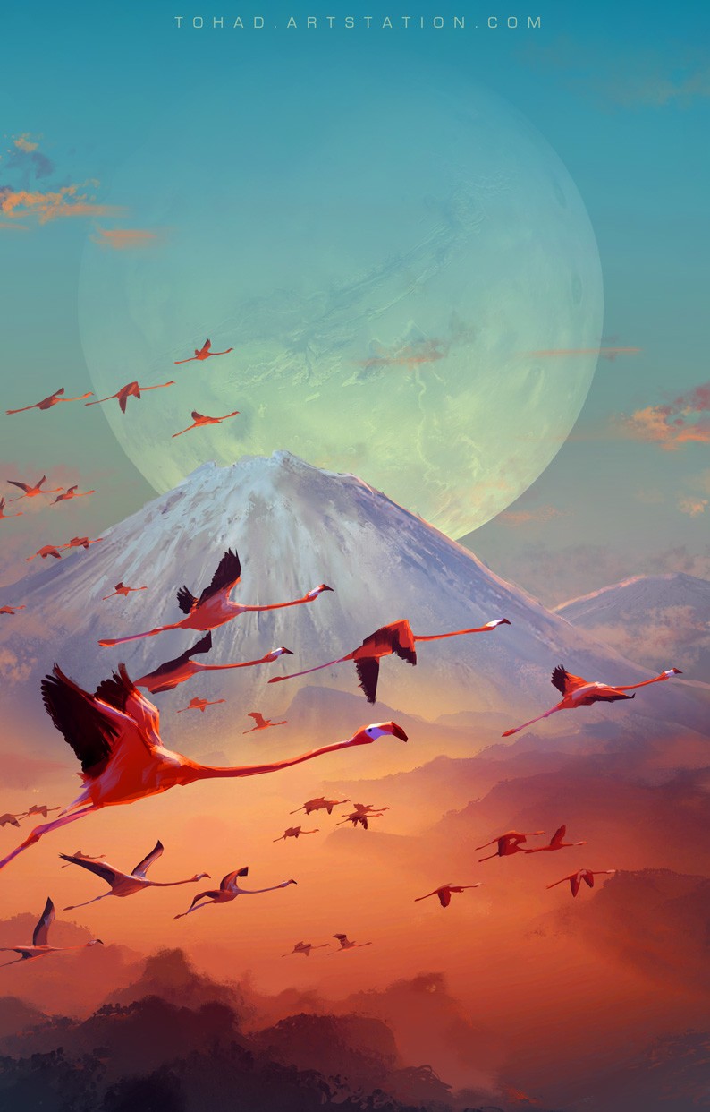 sylvain-sarrailh-flamingo.jpg