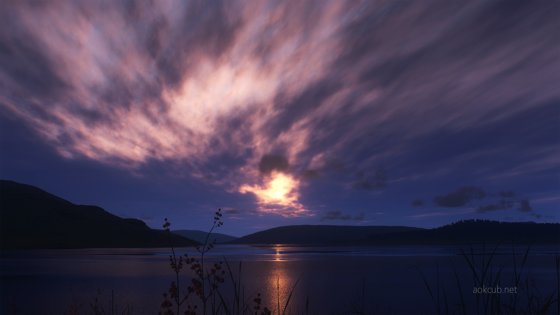 76881759_p0.png