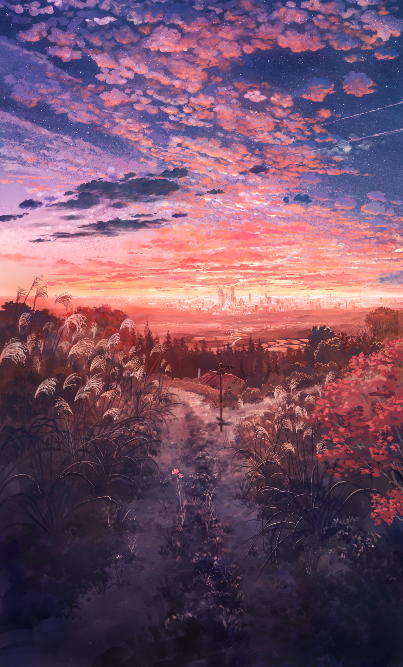 [pixiv]PվͼδŻϲ