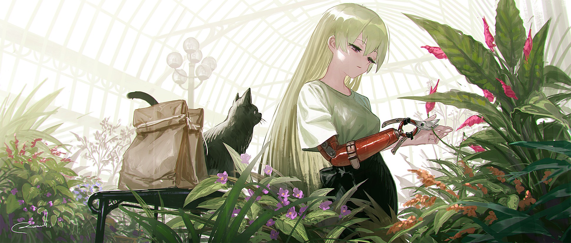 [pixiv]Pվͼ մѩ