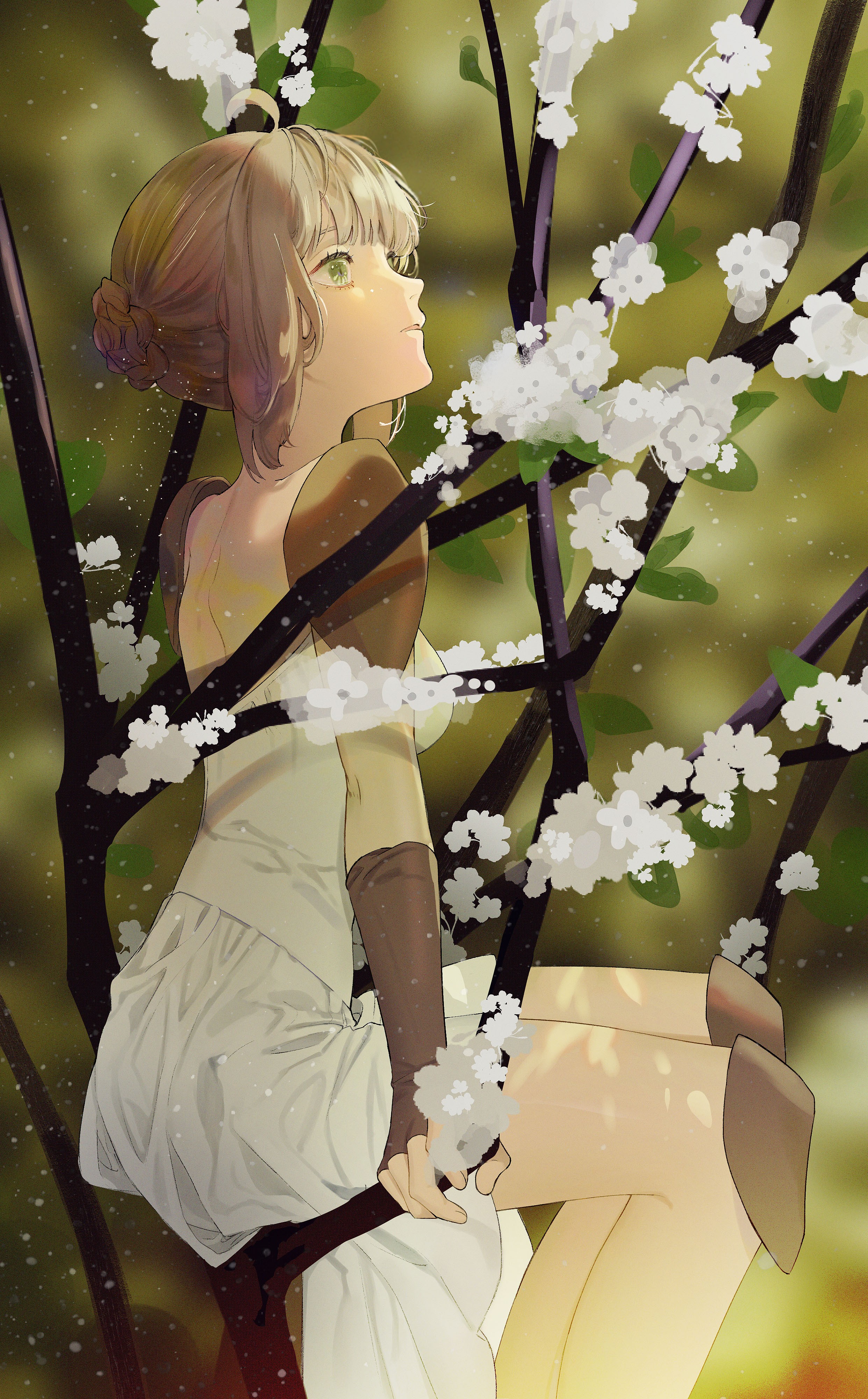 [pixiv]Pվͼ մѩ