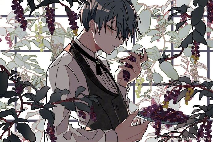 ͼPixiv Pվ Ԫͼѡ