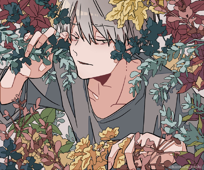 ͼPixiv Pվ Ԫͼѡ