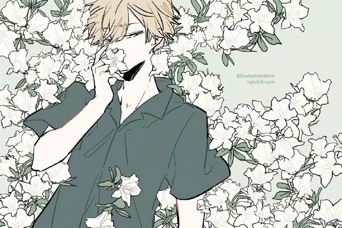 ͼPixiv Pվ Ԫͼѡ