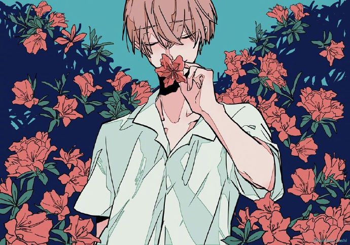 ͼPixiv Pվ Ԫͼѡ