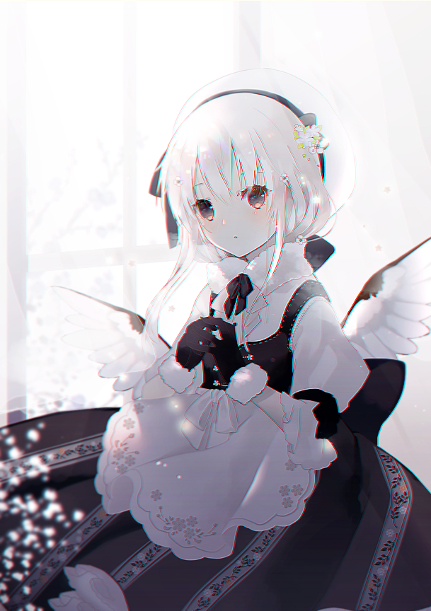[pixiv]PվͼǵõǺǵ֪