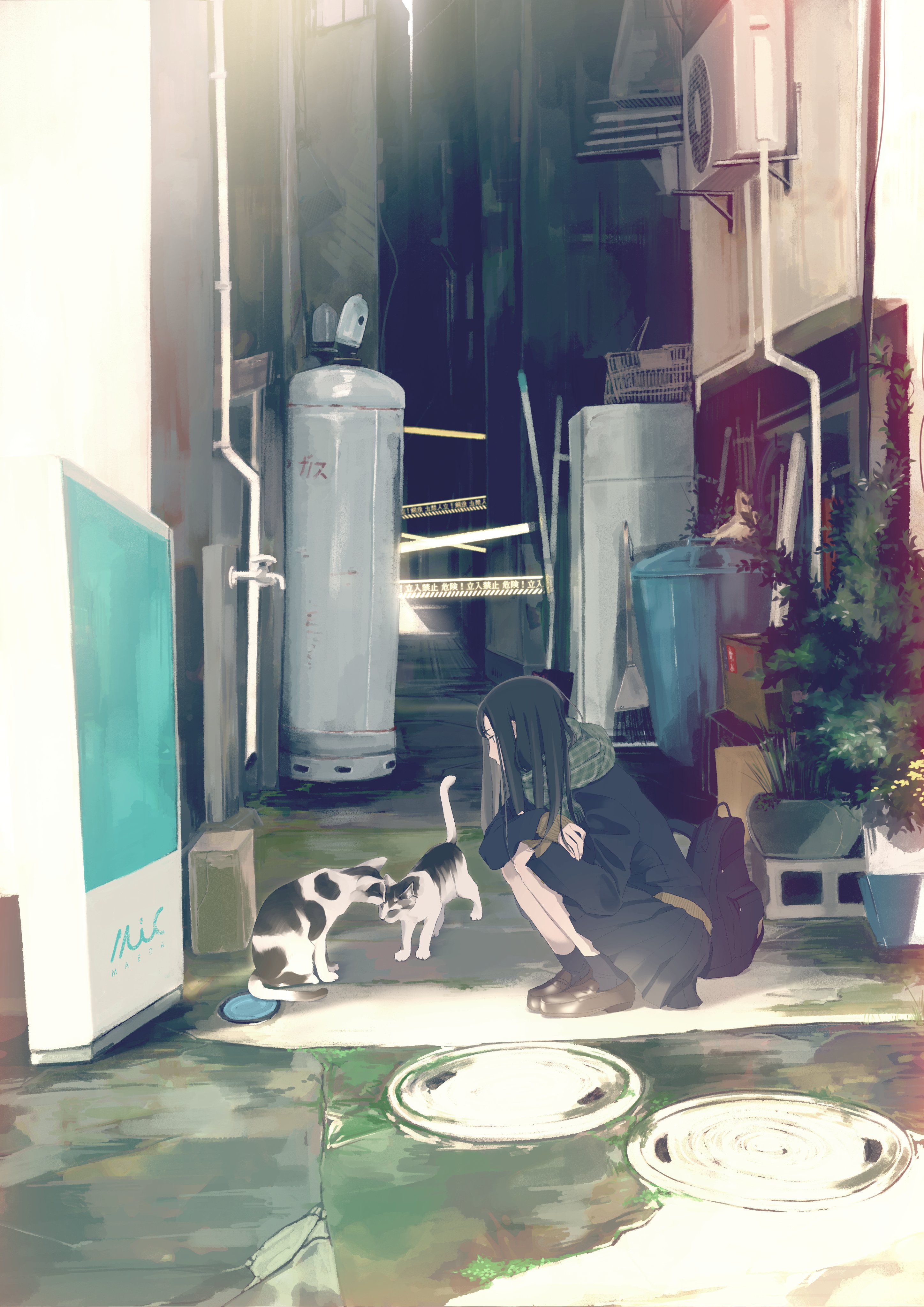 [pixiv]Pվͼǲף֪Ҫϧ