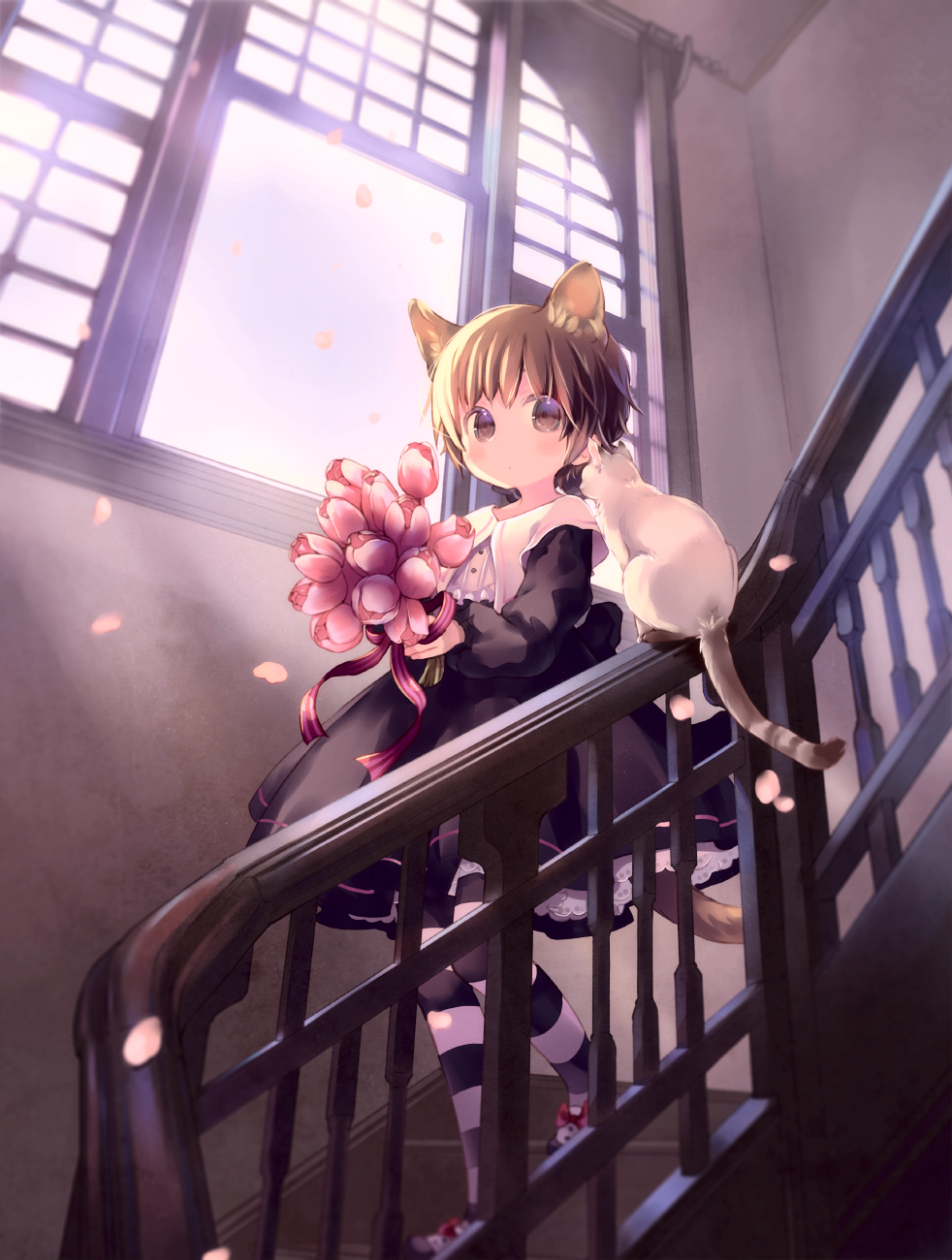 [pixiv]PվͼмֵҵԼ