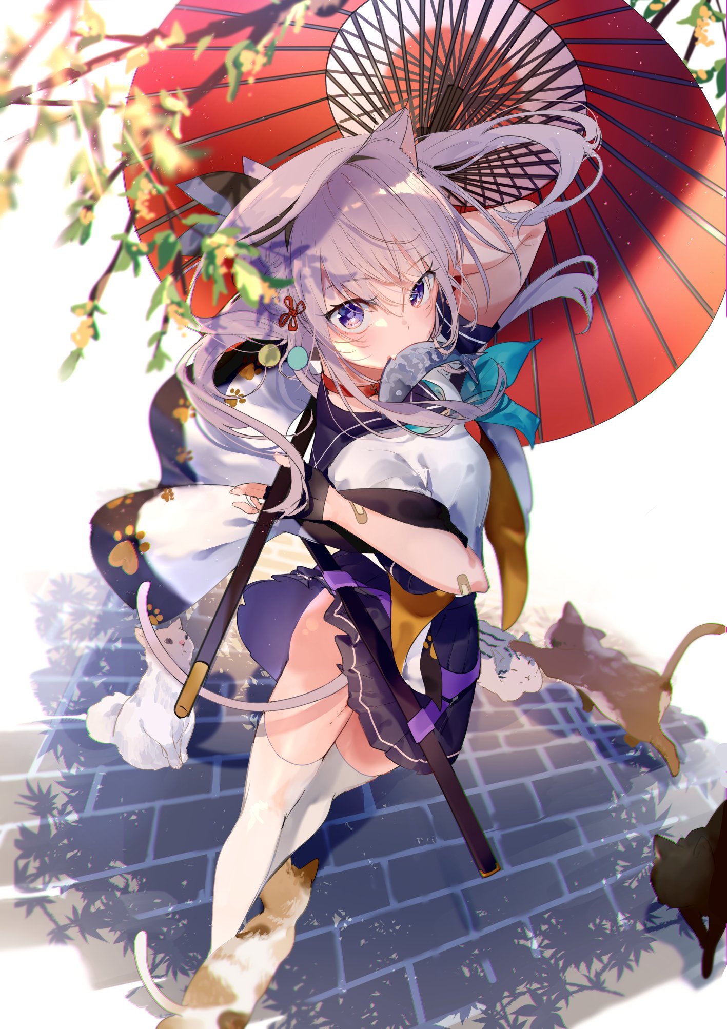 [pixiv]Pվͼ㵣ʲôʲôͿ㡣