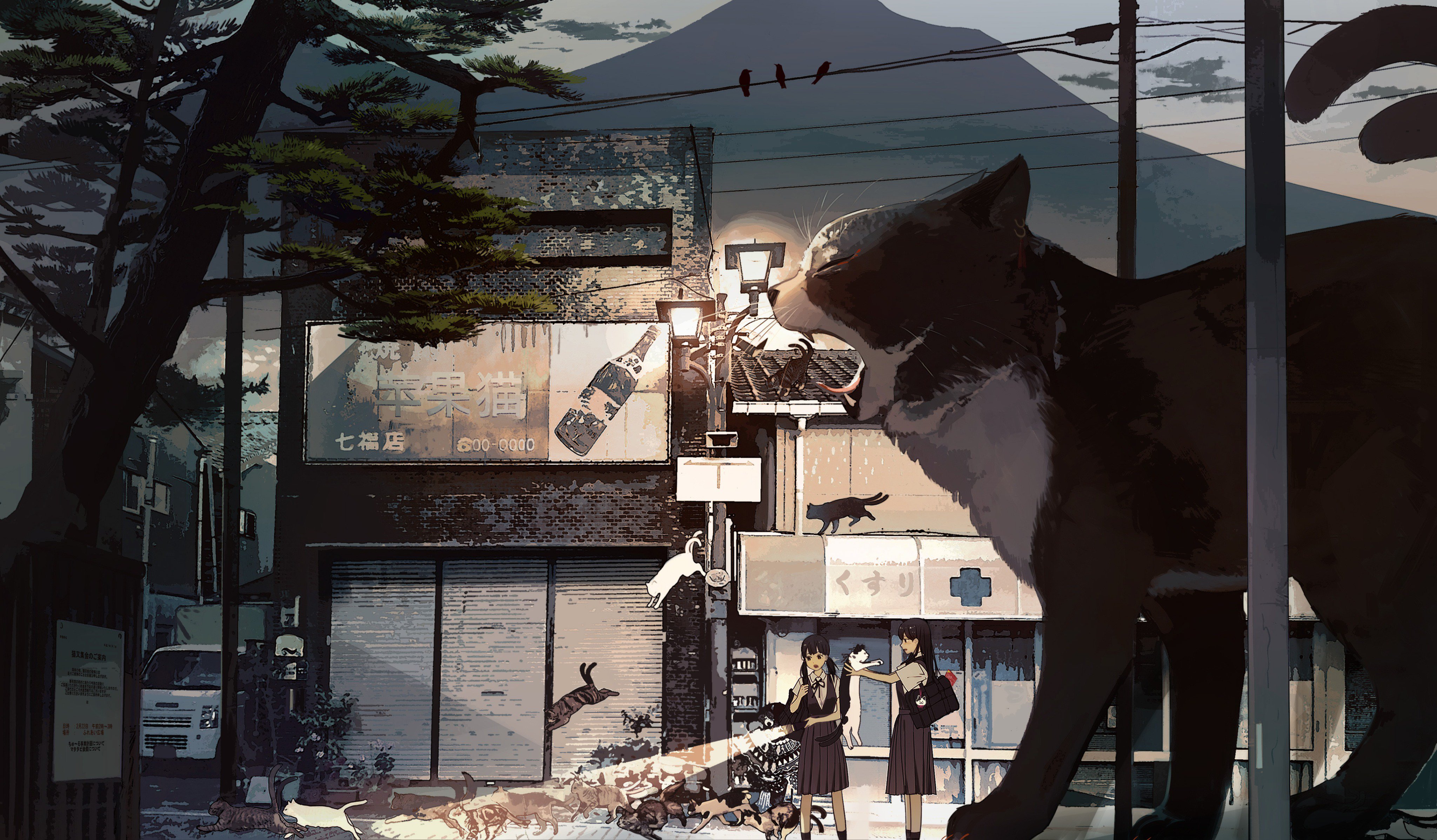 [pixiv]Pվͼ˺վҪ˺