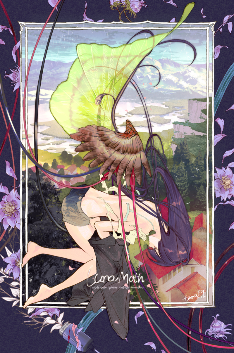 [pixiv]Pվͼ¶û˰㣬˭Ҳ