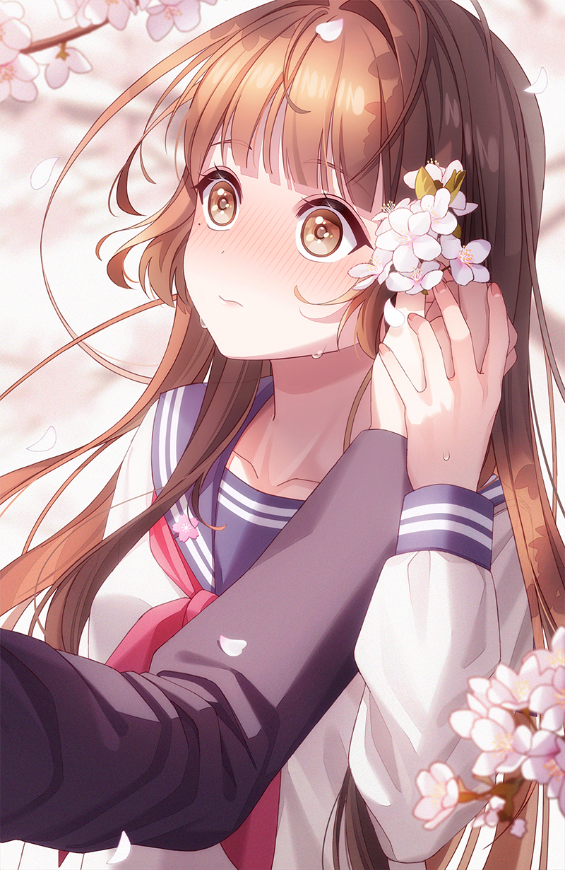 [pixiv]Pվͼķ紵ĺ