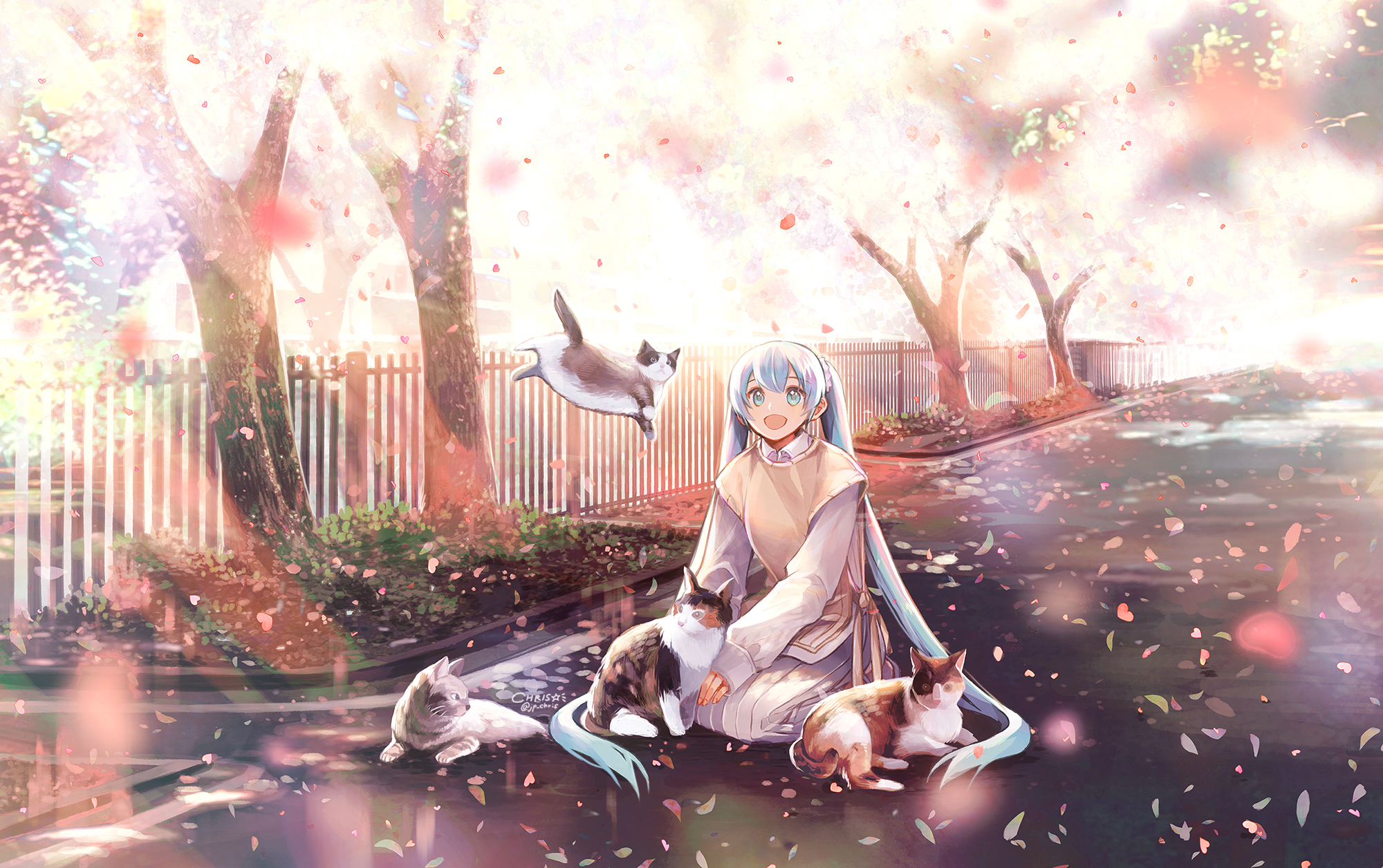 [pixiv]PվͼҪñ˵Լĵ