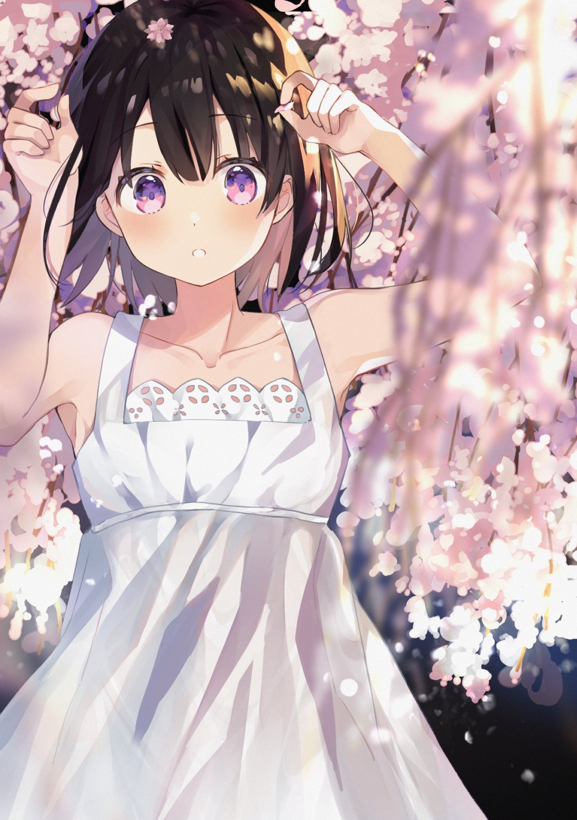 [pixiv]PվͼΧ֮ڸԼõ