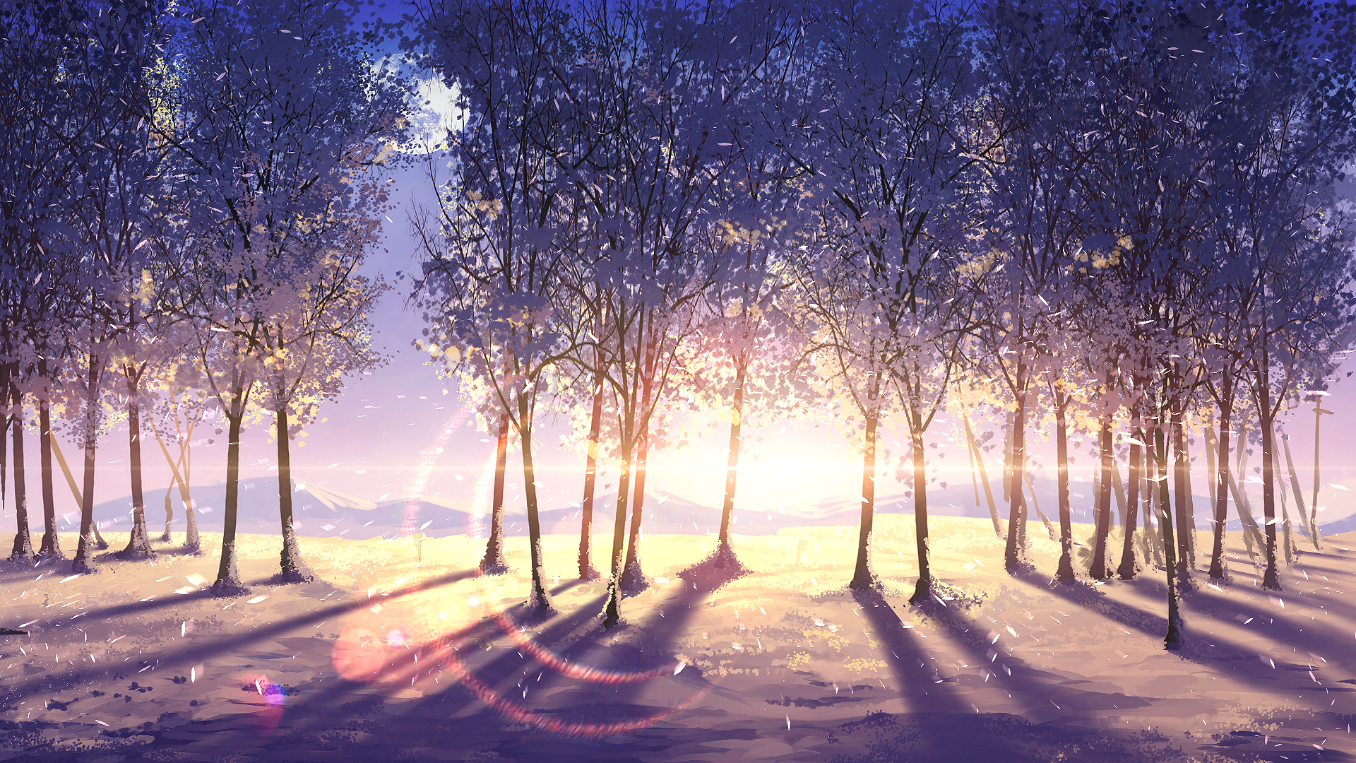 [pixiv]Pվͼܾ⣬