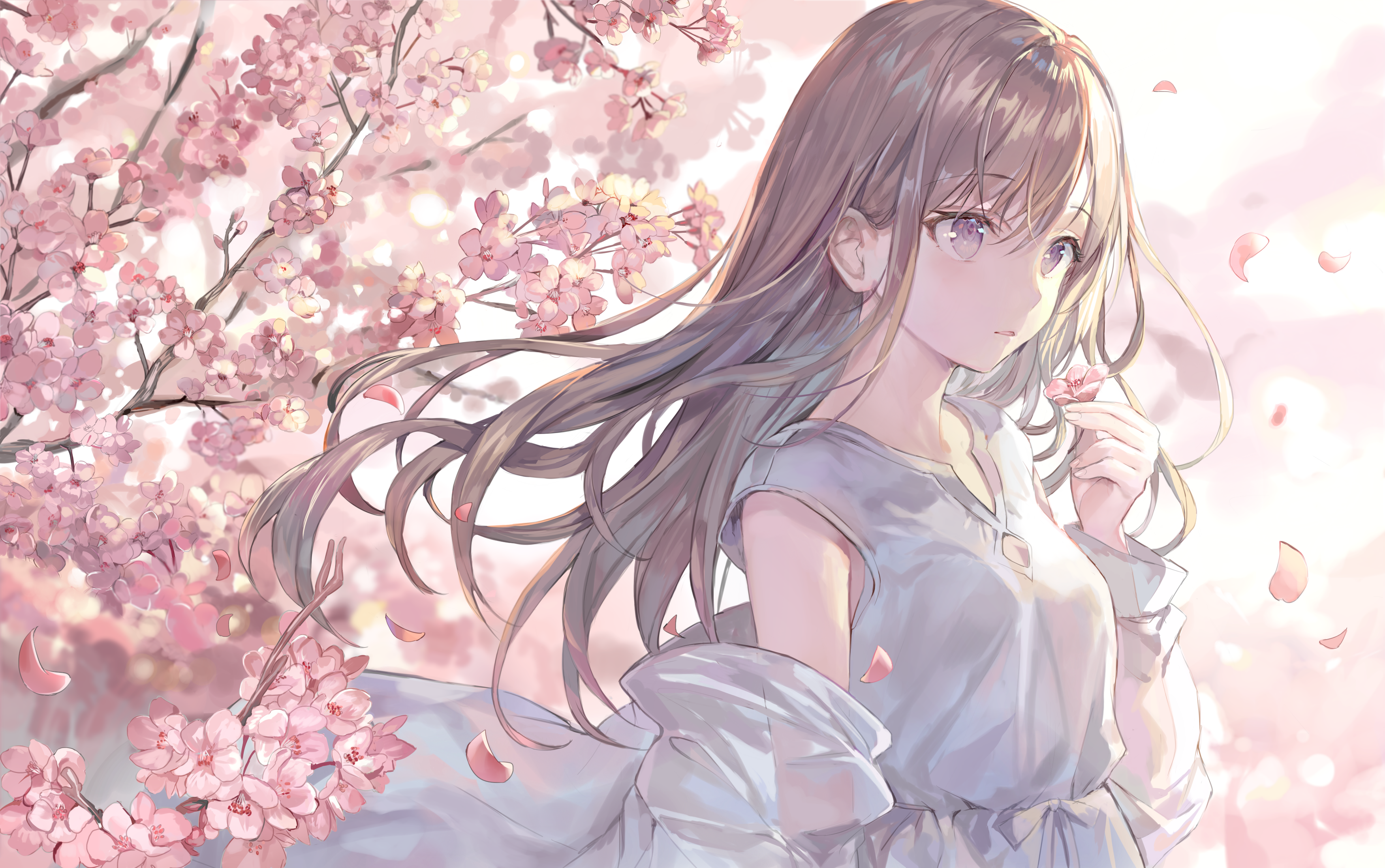 [pixiv]Pվͼ˹ʺ磬Ϸ֪С