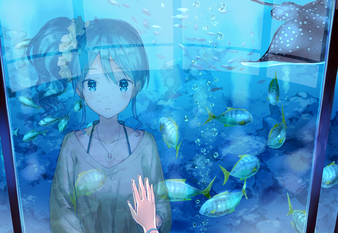 [pixiv]Pվͼ껪ȣһƣ롣