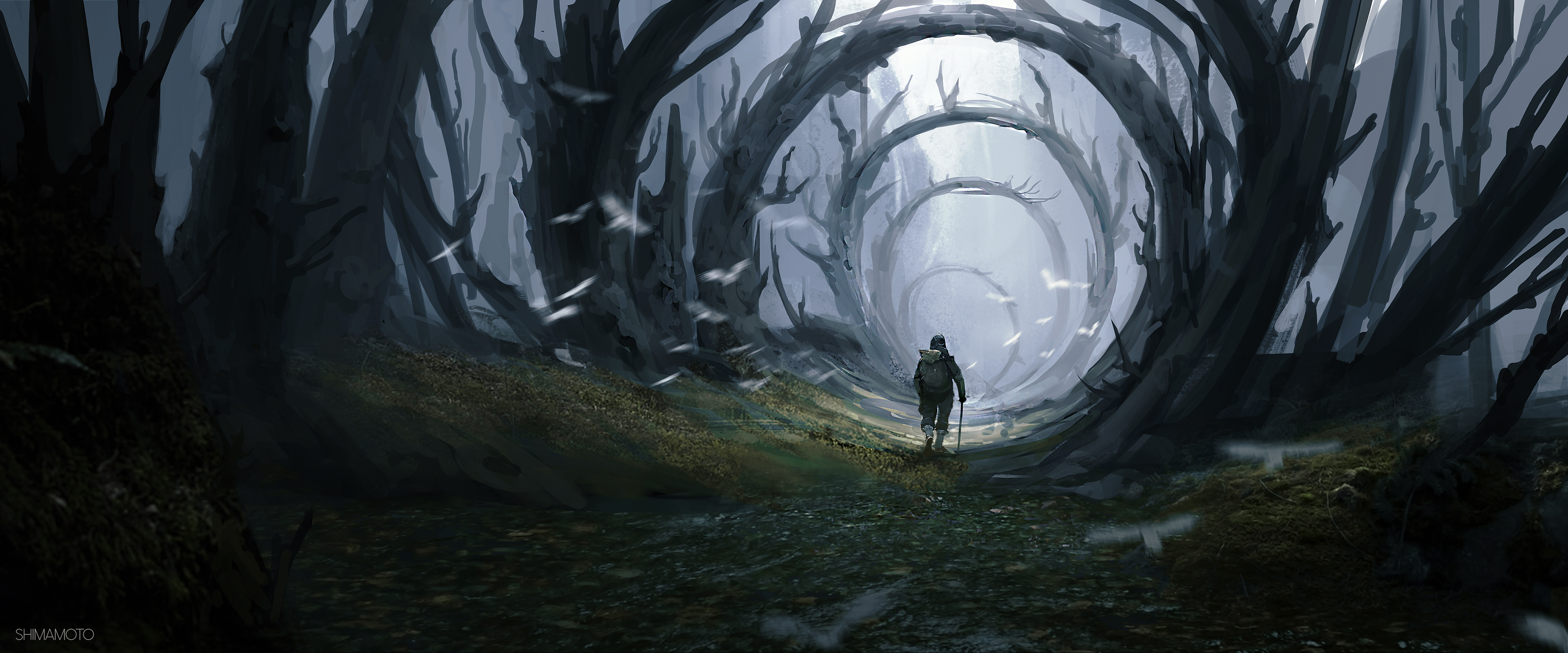 [pixiv]PվͼҲһ밮ңҲһΪĶ