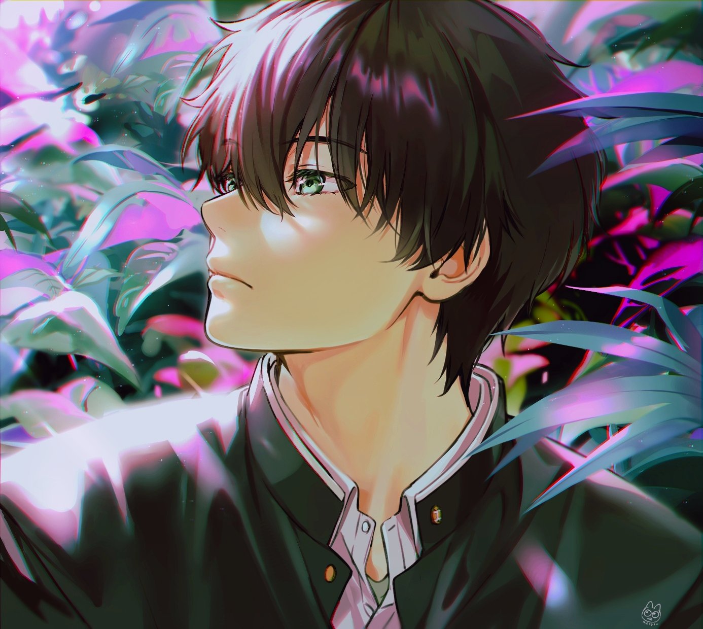 [pixiv]PվͼҪһηܲȥżվ̨ӡ
