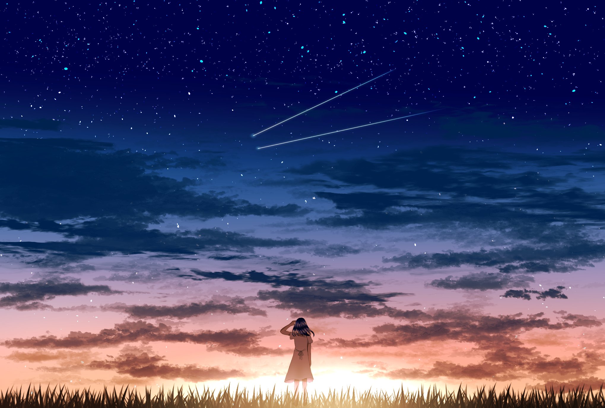 [pixiv]PվͼνҸĳ޶ȶ޶ȡ