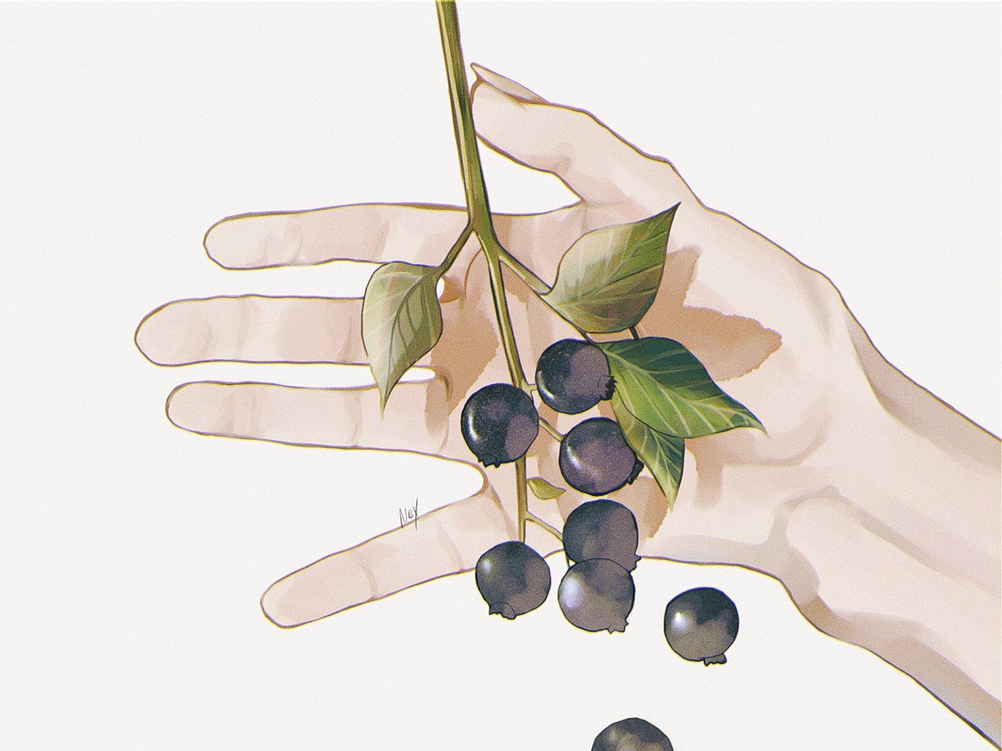 [pixiv]PվͼɽӺʰģɢǳ͹⡣